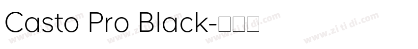 Casto Pro Black字体转换